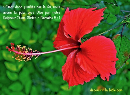 Nous sommes justifiés par la foi